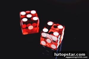 AG真人 hztopstar